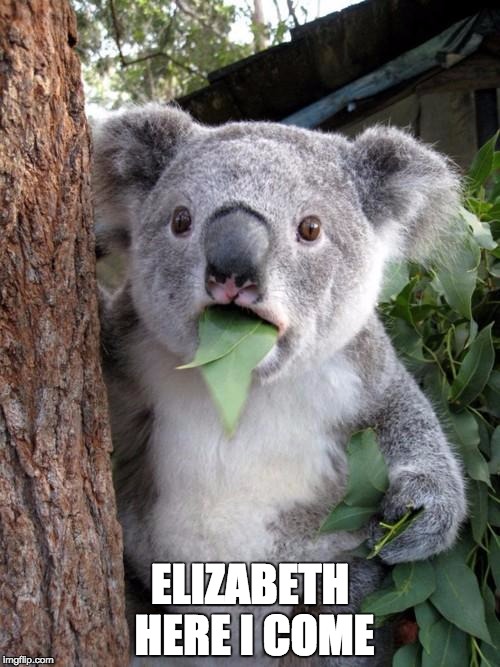Surprised Koala Meme | ELIZABETH HERE I COME | image tagged in memes,surprised koala | made w/ Imgflip meme maker