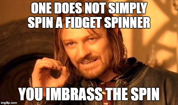 One Does Not Simply Meme | ONE DOES NOT SIMPLY SPIN A FIDGET SPINNER; YOU IMBRASS THE SPIN | image tagged in memes,one does not simply | made w/ Imgflip meme maker