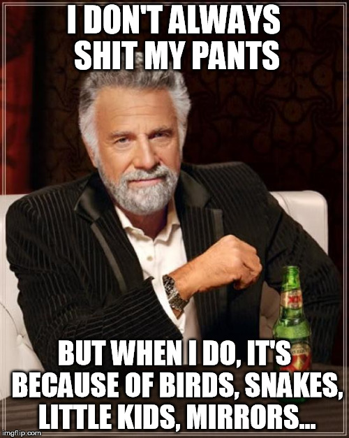 The Most Interesting Man In The World | I DON'T ALWAYS SHIT MY PANTS; BUT WHEN I DO, IT'S BECAUSE OF BIRDS, SNAKES, LITTLE KIDS, MIRRORS... | image tagged in memes,the most interesting man in the world | made w/ Imgflip meme maker