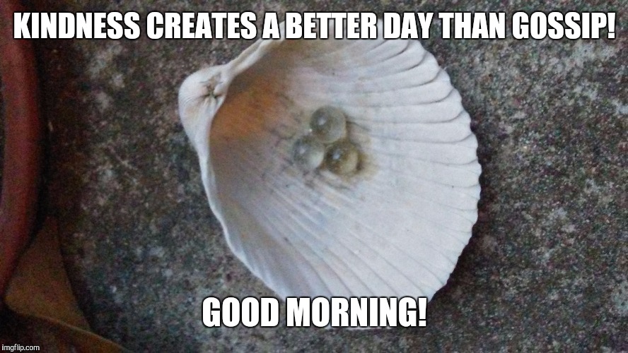 KINDNESS CREATES A BETTER DAY THAN GOSSIP! GOOD MORNING! | image tagged in kris chamblee | made w/ Imgflip meme maker