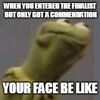 Kermit questionable face | WHEN YOU ENTERED THE FINALIST BUT ONLY GOT  A COMMENDATION; YOUR FACE BE LIKE | image tagged in kermit questionable face | made w/ Imgflip meme maker