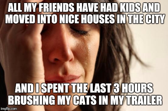 First World Problems | ALL MY FRIENDS HAVE HAD KIDS AND MOVED INTO NICE HOUSES IN THE CITY; AND I SPENT THE LAST 3 HOURS BRUSHING MY CATS IN MY TRAILER | image tagged in memes,first world problems | made w/ Imgflip meme maker