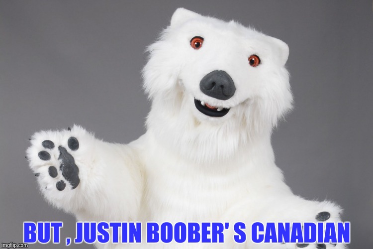 Polar Bear | BUT , JUSTIN BOOBER' S CANADIAN | image tagged in polar bear | made w/ Imgflip meme maker