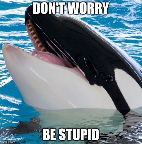 Free Willy 3  | DON'T WORRY; BE STUPID | image tagged in free willy 3 | made w/ Imgflip meme maker