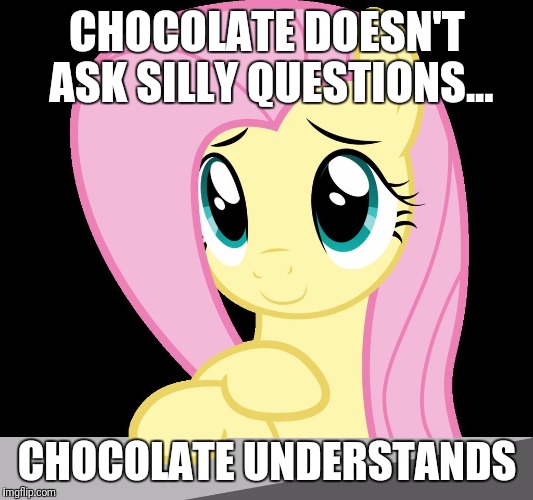 Fluttershy | CHOCOLATE DOESN'T ASK SILLY QUESTIONS... CHOCOLATE UNDERSTANDS | image tagged in fluttershy | made w/ Imgflip meme maker