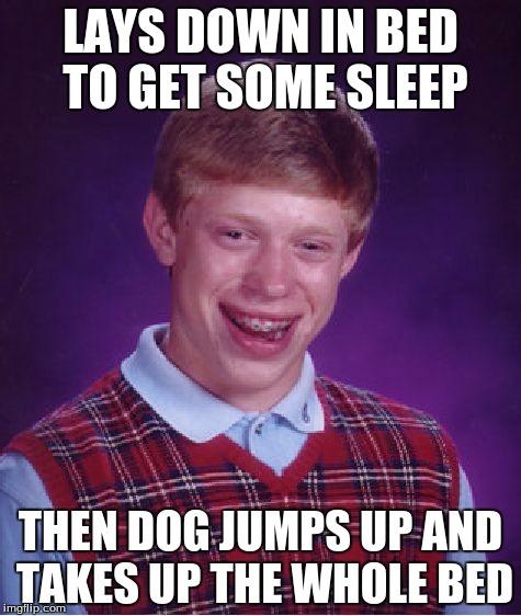 Bad Luck Brian | LAYS DOWN IN BED TO GET SOME SLEEP; THEN DOG JUMPS UP AND TAKES UP THE WHOLE BED | image tagged in memes,bad luck brian | made w/ Imgflip meme maker