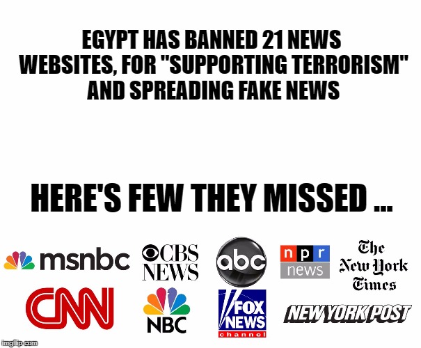 banning fake news | EGYPT HAS BANNED 21 NEWS WEBSITES, FOR "SUPPORTING TERRORISM" AND SPREADING FAKE NEWS; HERE'S FEW THEY MISSED ... | image tagged in msm,biased media | made w/ Imgflip meme maker