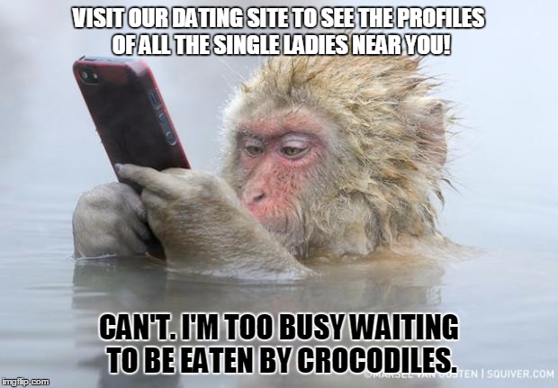 monkey mobile phone |  VISIT OUR DATING SITE TO SEE THE PROFILES OF ALL THE SINGLE LADIES NEAR YOU! CAN'T. I'M TOO BUSY WAITING TO BE EATEN BY CROCODILES. | image tagged in monkey mobile phone | made w/ Imgflip meme maker