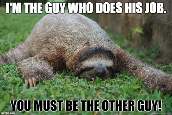 Sleeping sloth | I'M THE GUY WHO DOES HIS JOB. YOU MUST BE THE OTHER GUY! | image tagged in sleeping sloth | made w/ Imgflip meme maker