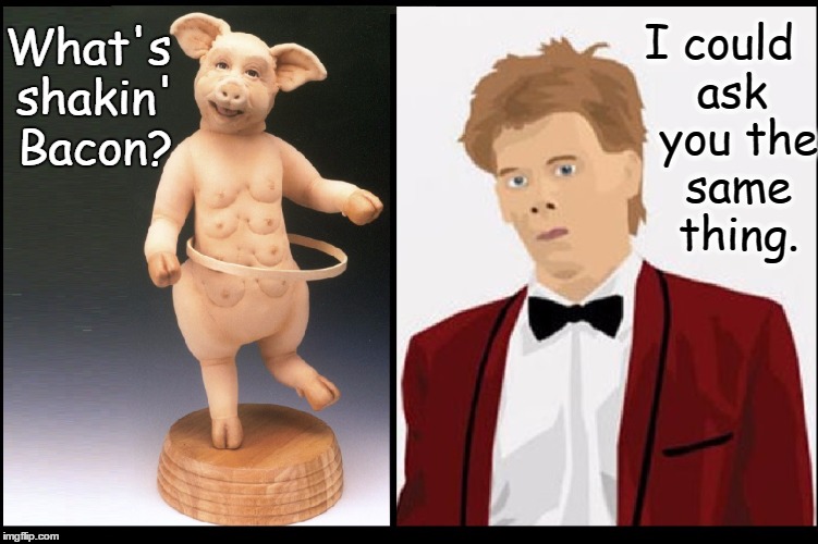 Bacon to Bacon: A Conversation | ask you the same thing. I could; What's shakin' Bacon? | image tagged in vince vance,bacon,kevin bacon,pig with 8 nipples,hula hoop,funny | made w/ Imgflip meme maker