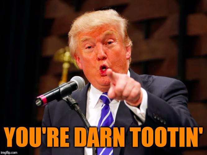 trump point | YOU'RE DARN TOOTIN' | image tagged in trump point | made w/ Imgflip meme maker