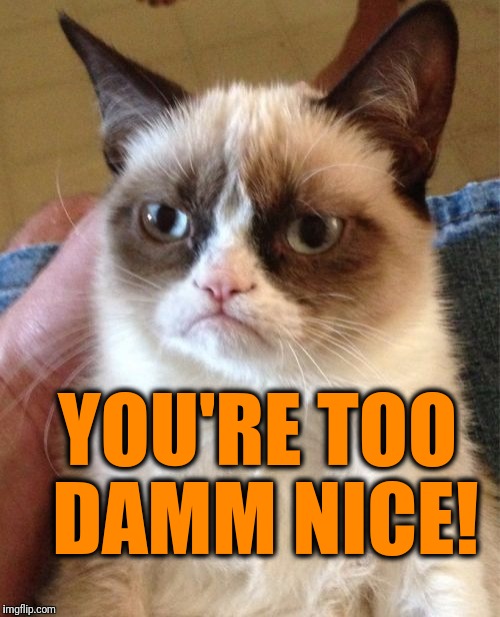 Grumpy Cat Meme | YOU'RE TOO DAMM NICE! | image tagged in memes,grumpy cat | made w/ Imgflip meme maker