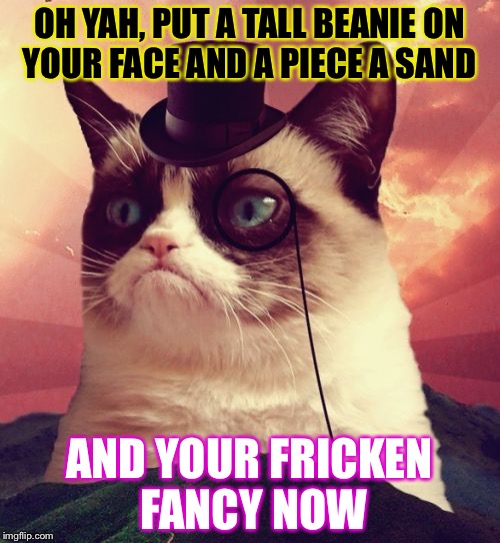 Grumpy Cat Top Hat Meme | OH YAH, PUT A TALL BEANIE ON YOUR FACE AND A PIECE A SAND; AND YOUR FRICKEN FANCY NOW | image tagged in memes,grumpy cat top hat,grumpy cat | made w/ Imgflip meme maker