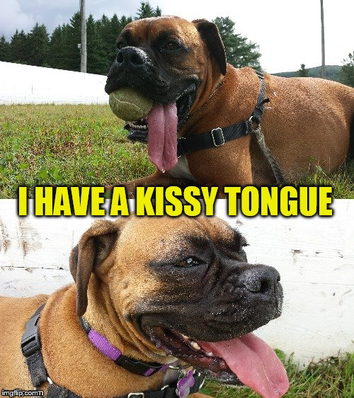 I HAVE A KISSY TONGUE | made w/ Imgflip meme maker