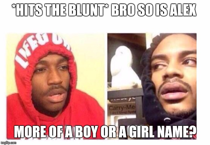 Hits blunt | *HITS THE BLUNT* BRO SO IS ALEX; MORE OF A BOY OR A GIRL NAME? | image tagged in hits blunt | made w/ Imgflip meme maker