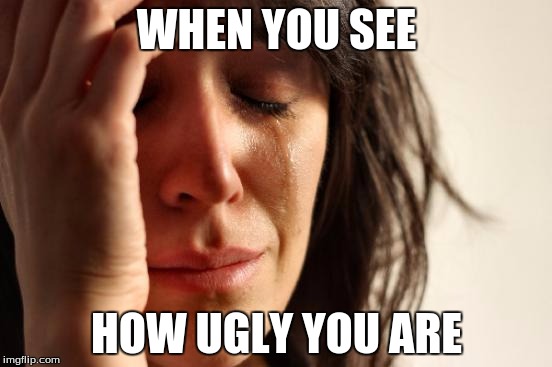 First World Problems Meme | WHEN YOU SEE; HOW UGLY YOU ARE | image tagged in memes,first world problems | made w/ Imgflip meme maker