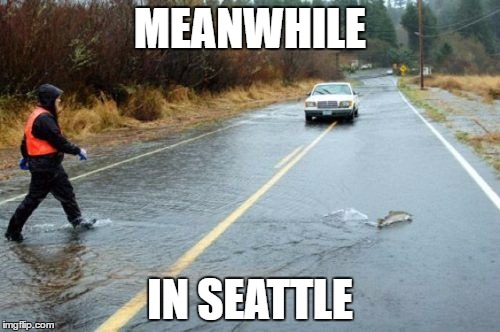 Life in Seattle | MEANWHILE; IN SEATTLE | image tagged in walking my fish,memes,funny,meanwhile in,seattle,fish | made w/ Imgflip meme maker