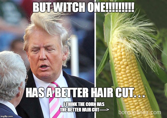 the corn is the star of the show
(NOT trump) | BUT WITCH ONE!!!!!!!!! HAS A BETTER HAIR CUT. . . I THINK THE CORN HAS THE BETTER HAIR CUT-----> | image tagged in who wore it better 20,meme,funny,omg trump | made w/ Imgflip meme maker