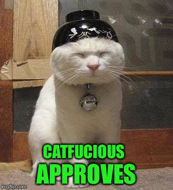 CATFUCIOUS APPROVES | made w/ Imgflip meme maker