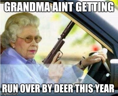 Nope | GRANDMA AINT GETTING; RUN OVER BY DEER THIS YEAR | image tagged in grandma | made w/ Imgflip meme maker