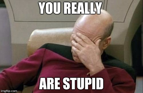 Captain Picard Facepalm Meme | YOU REALLY; ARE STUPID | image tagged in memes,captain picard facepalm | made w/ Imgflip meme maker
