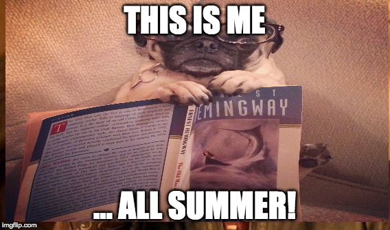 Harper the Pug | THIS IS ME; ... ALL SUMMER! | image tagged in pug life | made w/ Imgflip meme maker