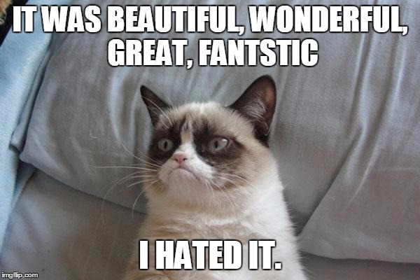 Grumpy Cat Bed | IT WAS BEAUTIFUL, WONDERFUL, GREAT, FANTSTIC; I HATED IT. | image tagged in memes,grumpy cat bed,grumpy cat | made w/ Imgflip meme maker