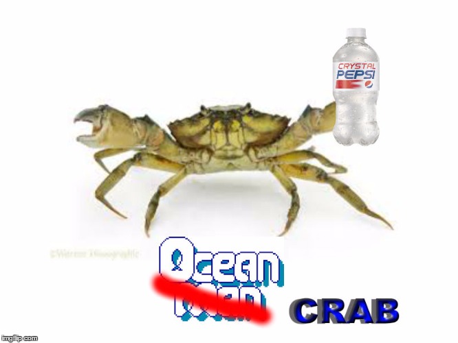 image tagged in ocean crab | made w/ Imgflip meme maker