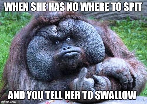 Fat orangutan with middle finger | WHEN SHE HAS NO WHERE TO SPIT; AND YOU TELL HER TO SWALLOW | image tagged in fat orangutan with middle finger | made w/ Imgflip meme maker