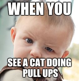 Skeptical Baby Meme | WHEN YOU; SEE A CAT DOING PULL UPS | image tagged in memes,skeptical baby | made w/ Imgflip meme maker