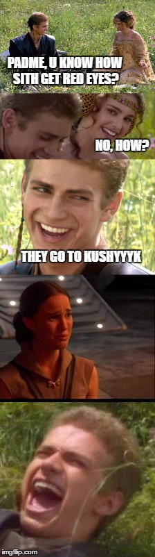 Kushyyyk | PADME, U KNOW HOW SITH GET RED EYES? NO, HOW? THEY GO TO KUSHYYYK | image tagged in star wars | made w/ Imgflip meme maker