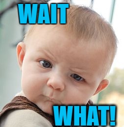 Skeptical Baby Meme | WAIT WHAT! | image tagged in memes,skeptical baby | made w/ Imgflip meme maker