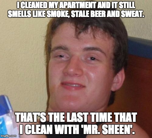 10 Guy Meme | I CLEANED MY APARTMENT AND IT STILL SMELLS LIKE SMOKE, STALE BEER AND SWEAT. THAT'S THE LAST TIME THAT I CLEAN WITH 'MR. SHEEN'. | image tagged in memes,10 guy | made w/ Imgflip meme maker
