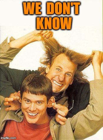 DUMB and dumber | WE  DON'T  KNOW | image tagged in dumb and dumber | made w/ Imgflip meme maker