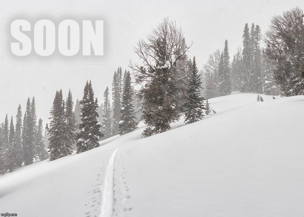 SOON | image tagged in skiing,alpine touring,powder,back country,soon | made w/ Imgflip meme maker
