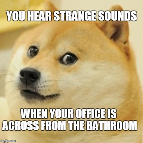 Doge Meme | YOU HEAR STRANGE SOUNDS; WHEN YOUR OFFICE IS ACROSS FROM THE BATHROOM | image tagged in memes,doge | made w/ Imgflip meme maker