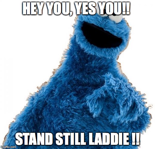 Cookie Monster | HEY YOU, YES YOU!! STAND STILL LADDIE !! | image tagged in cookie monster | made w/ Imgflip meme maker