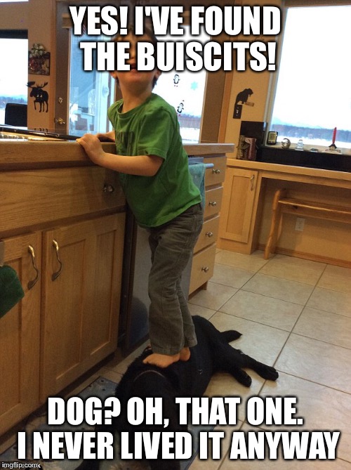 YES! I'VE FOUND THE BUISCITS! DOG? OH, THAT ONE. I NEVER LIVED IT ANYWAY | image tagged in funny,funny memes,funny meme,funny animals | made w/ Imgflip meme maker