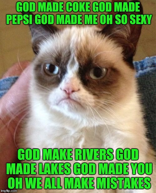 Grumpy Cat Meme | GOD MADE COKE GOD MADE PEPSI GOD MADE ME OH SO SEXY; GOD MAKE RIVERS GOD MADE LAKES GOD MADE YOU OH WE ALL MAKE MISTAKES | image tagged in memes,grumpy cat | made w/ Imgflip meme maker