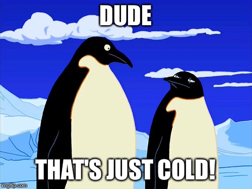 Futurama | DUDE THAT'S JUST COLD! | image tagged in futurama | made w/ Imgflip meme maker