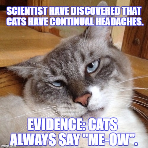 SCIENTIST HAVE DISCOVERED THAT CATS HAVE CONTINUAL HEADACHES. EVIDENCE: CATS ALWAYS SAY "ME-OW". | image tagged in meow | made w/ Imgflip meme maker