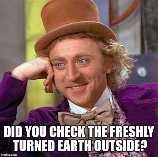 Creepy Condescending Wonka Meme | DID YOU CHECK THE FRESHLY TURNED EARTH OUTSIDE? | image tagged in memes,creepy condescending wonka | made w/ Imgflip meme maker