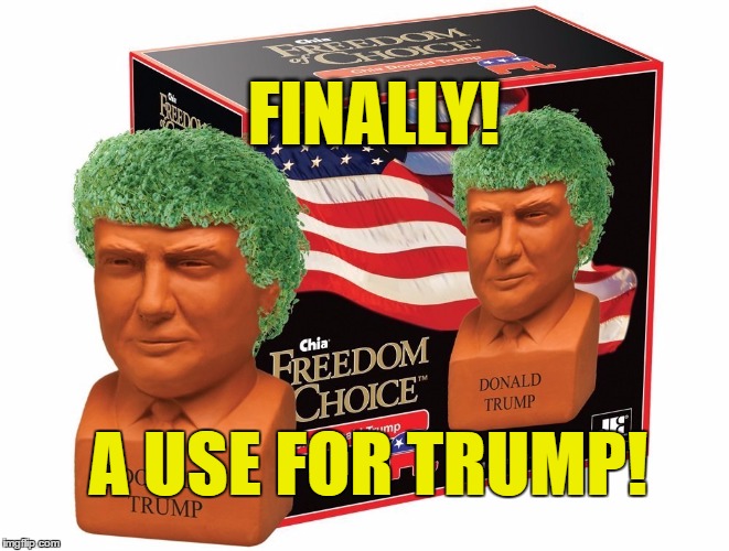 FINALLY! A USE FOR TRUMP! | image tagged in chia trump | made w/ Imgflip meme maker