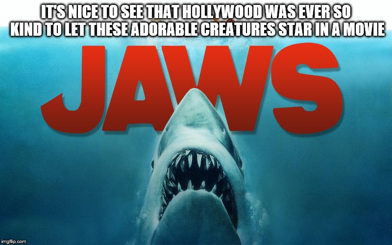 Just look at those cute little teeth~ | IT'S NICE TO SEE THAT HOLLYWOOD WAS EVER SO KIND TO LET THESE ADORABLE CREATURES STAR IN A MOVIE | image tagged in shark,movies,memes,cute,funny | made w/ Imgflip meme maker
