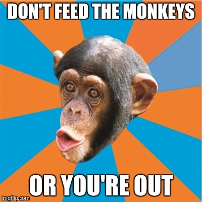 Don't feed the monkeys | DON'T FEED THE MONKEYS; OR YOU'RE OUT | image tagged in chimp,chimpanzee | made w/ Imgflip meme maker