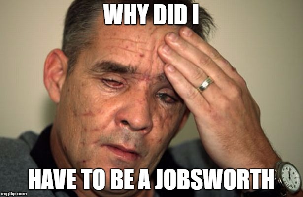 pig | WHY DID I; HAVE TO BE A JOBSWORTH | image tagged in pig | made w/ Imgflip meme maker