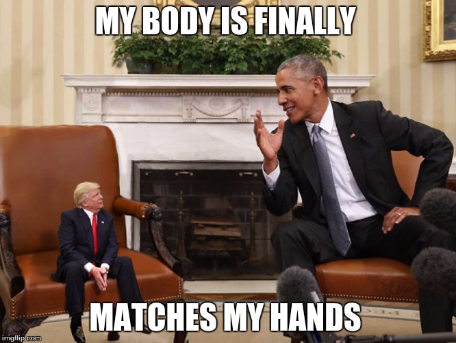 MY BODY IS FINALLY; MATCHES MY HANDS | image tagged in tiny trump | made w/ Imgflip meme maker