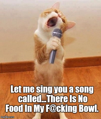 Happy birthday day  Maureeeennn from the singing cat!  | Let me sing you a song called...There Is No Food In My F@cking Bowl. | image tagged in happy birthday day  maureeeennn from the singing cat | made w/ Imgflip meme maker