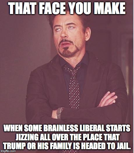 Face You Make Robert Downey Jr Meme | THAT FACE YOU MAKE WHEN SOME BRAINLESS LIBERAL STARTS JIZZING ALL OVER THE PLACE THAT TRUMP OR HIS FAMILY IS HEADED TO JAIL. | image tagged in memes,face you make robert downey jr | made w/ Imgflip meme maker
