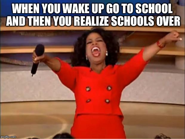 Oprah You Get A | WHEN YOU WAKE UP GO TO SCHOOL AND THEN YOU REALIZE SCHOOLS OVER | image tagged in memes,oprah you get a | made w/ Imgflip meme maker